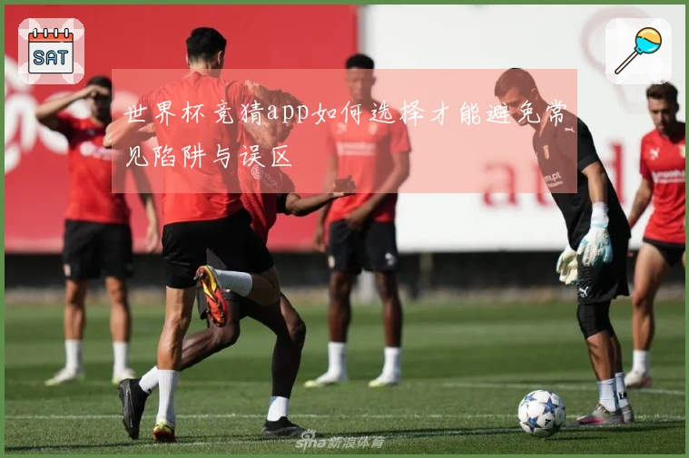 世界杯竞猜app如何选择才能避免常见陷阱与误区