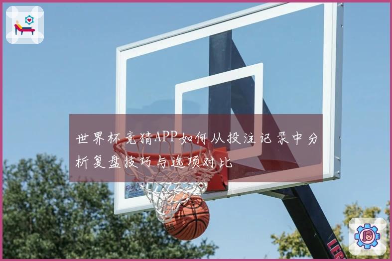 世界杯竞猜APP如何从投注记录中分析复盘技巧与选项对比