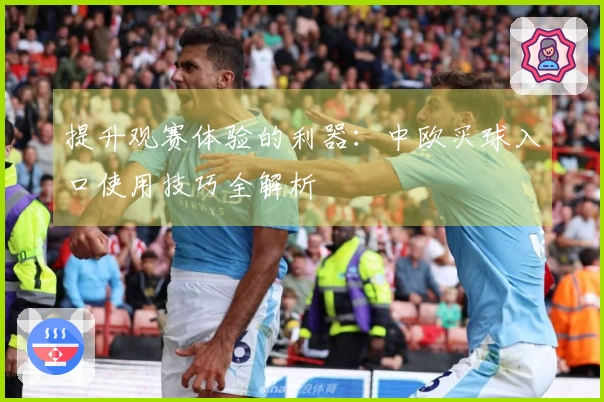 提升观赛体验的利器：中欧买球入口使用技巧全解析