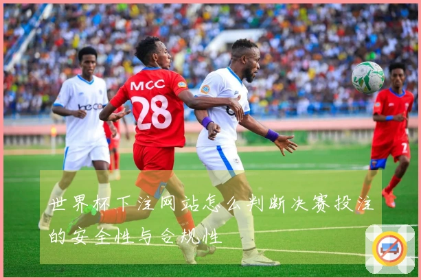 世界杯下注网站怎么判断决赛投注的安全性与合规性