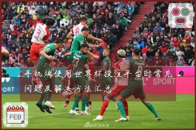 手机端使用世界杯投注平台时常见问题及解决方法汇总