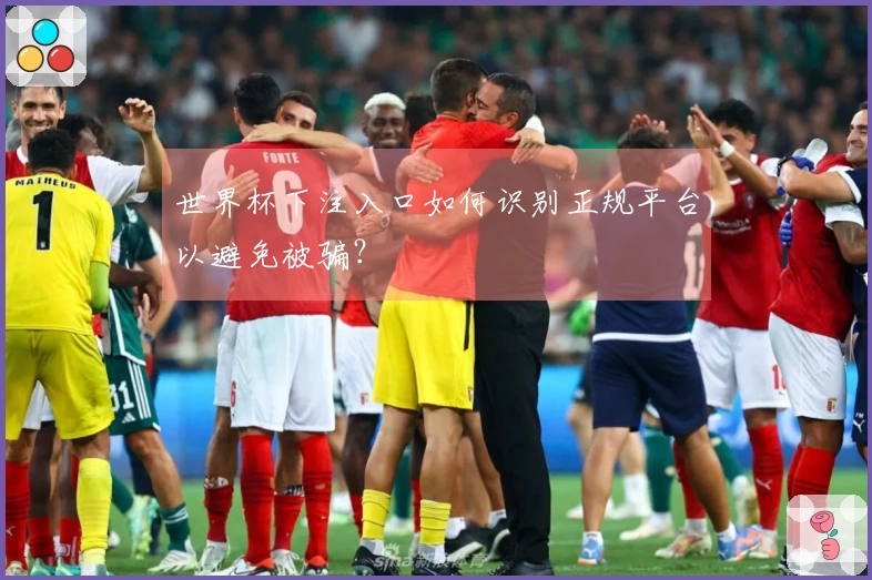 世界杯下注入口如何识别正规平台以避免被骗？