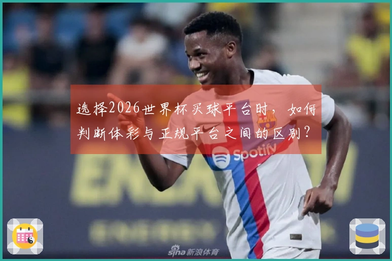 选择2026世界杯买球平台时，如何判断体彩与正规平台之间的区别？