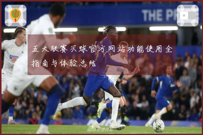 五大联赛买球官方网站功能使用全指南与体验总结