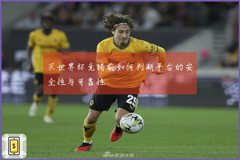 买世界杯竞猜前如何判断平台的安全性与可靠性