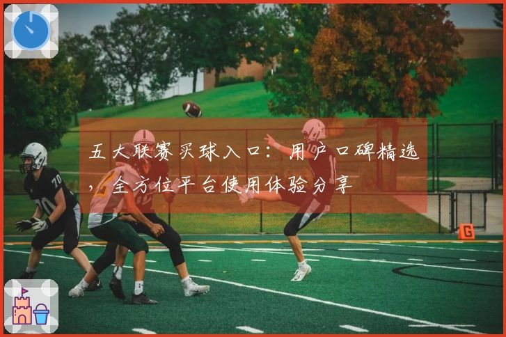 五大联赛买球入口：用户口碑精选，全方位平台使用体验分享