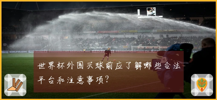 世界杯外围买球前应了解哪些合法平台和注意事项？