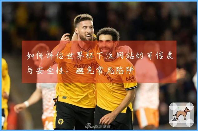 如何评估世界杯下注网站的可信度与安全性，避免常见陷阱
