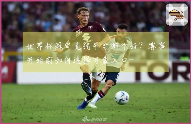 世界杯冠军竞猜平台哪个好？赛事开始前如何选择可靠入口-