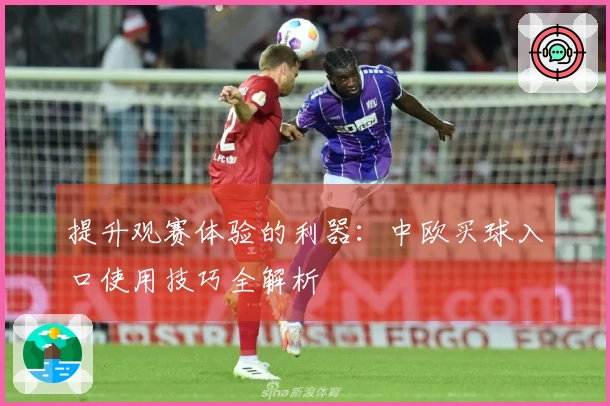 提升观赛体验的利器：中欧买球入口使用技巧全解析
