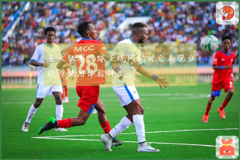 五大联赛买球正规网站综合表现分析与使用体验评测