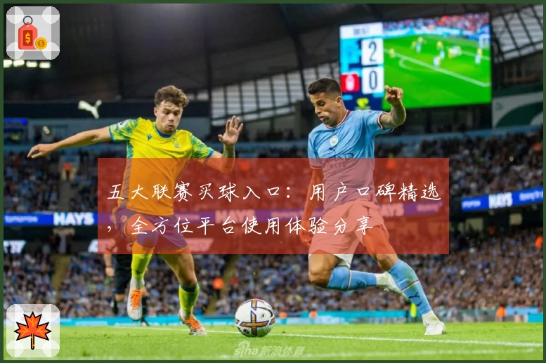五大联赛买球入口：用户口碑精选，全方位平台使用体验分享