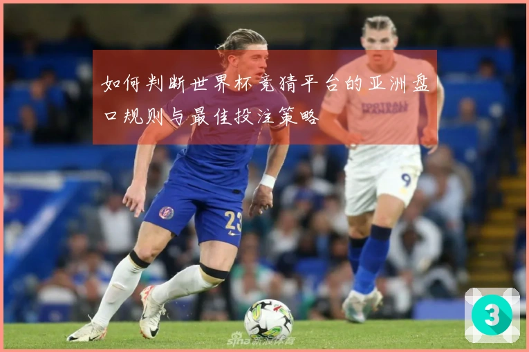 如何判断世界杯竞猜平台的亚洲盘口规则与最佳投注策略