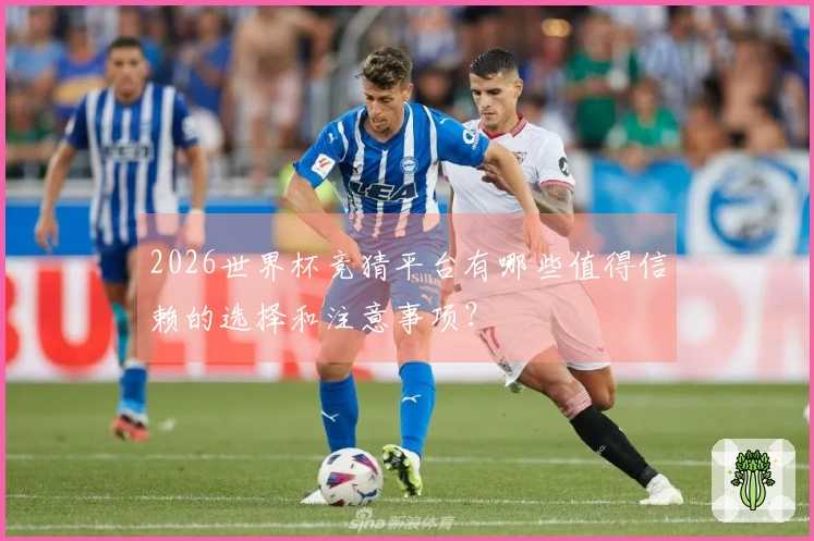 2026世界杯竞猜平台有哪些值得信赖的选择和注意事项？