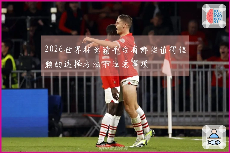 2026世界杯竞猜平台有哪些值得信赖的选择方法和注意事项