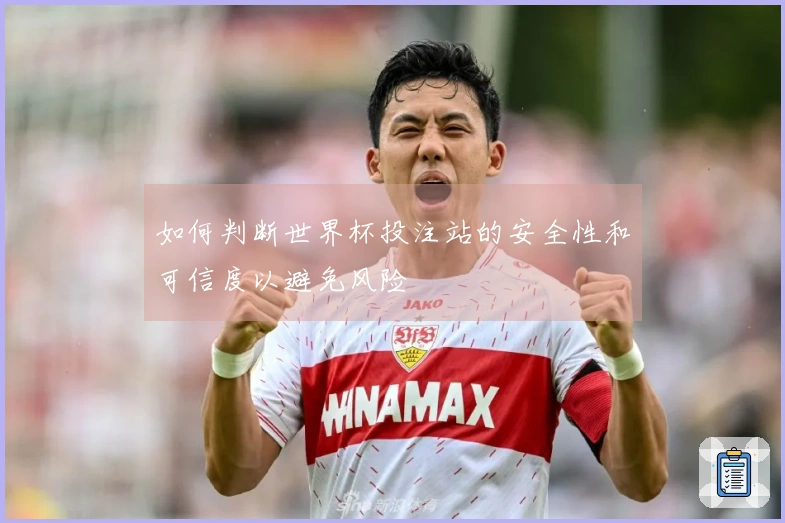 如何判断世界杯投注站的安全性和可信度以避免风险