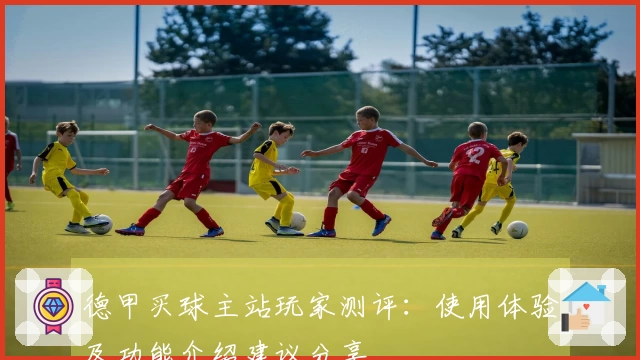 德甲买球主站玩家测评：使用体验及功能介绍建议分享