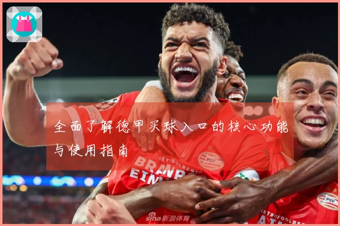 全面了解德甲买球入口的核心功能与使用指南